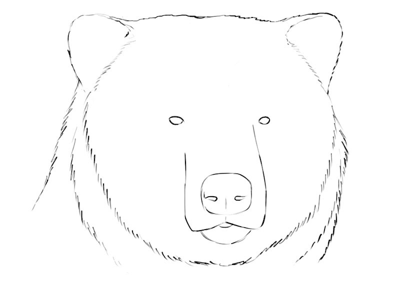 Bear Head Coloring Page