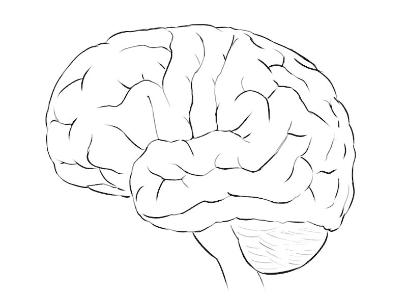Brain Coloring Page