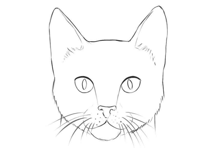 Cat Face Coloring Pages
