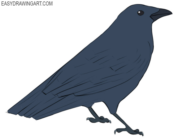 Crow coloring pages