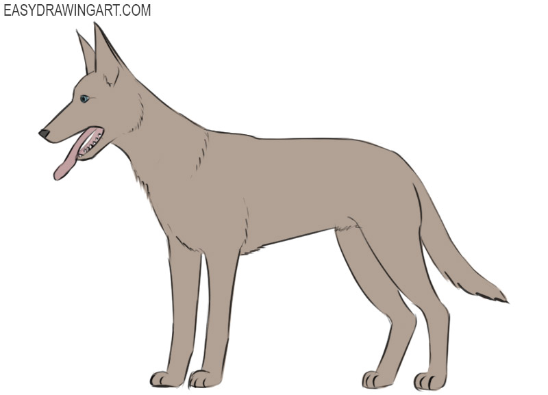 Dog Coloring Page easy