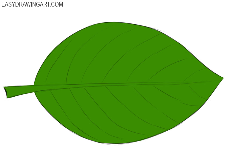 Leaf Coloring Page easy