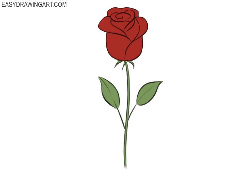 Rose Coloring Page easy