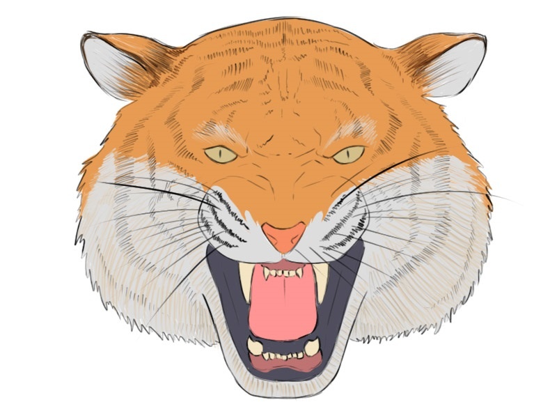Tiger Head coloring page