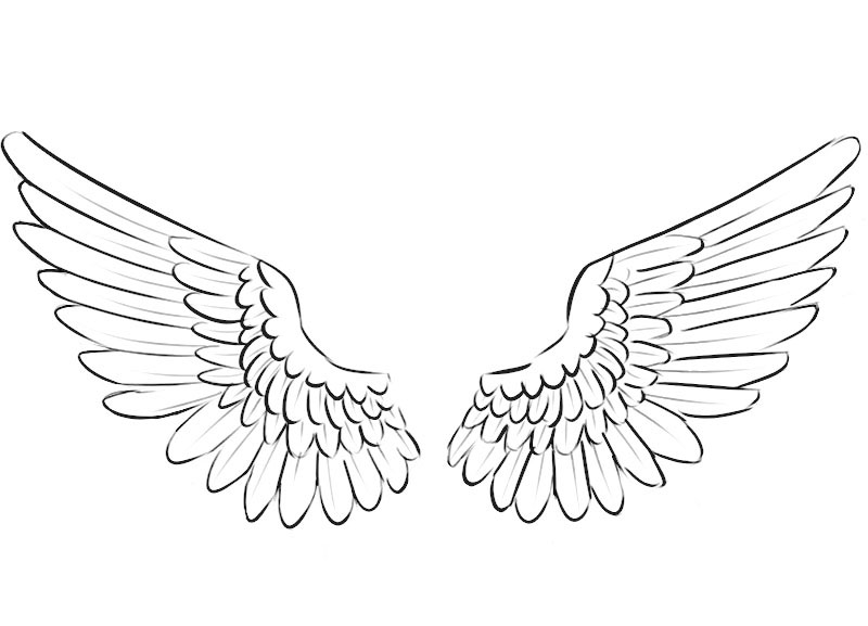 Wings Coloring Page easy