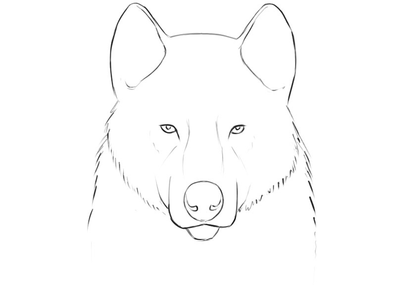 Wolf Face Coloring Pages