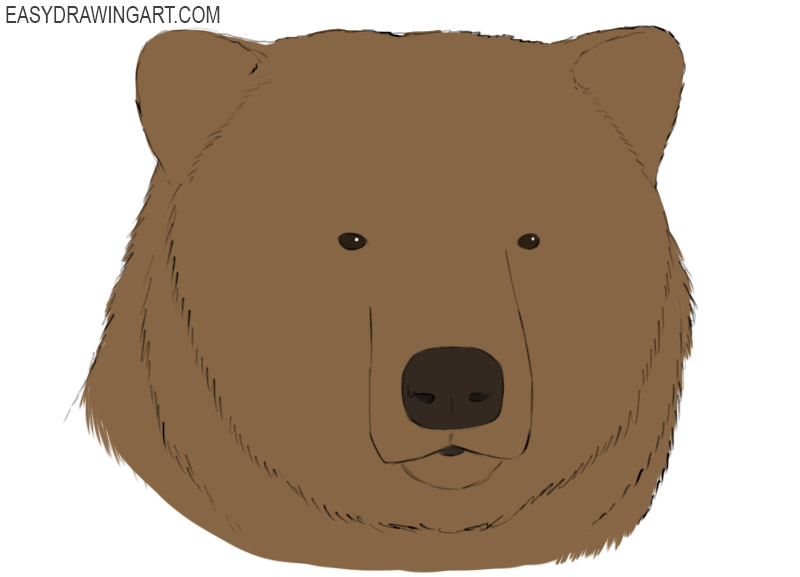 bear head coloring page