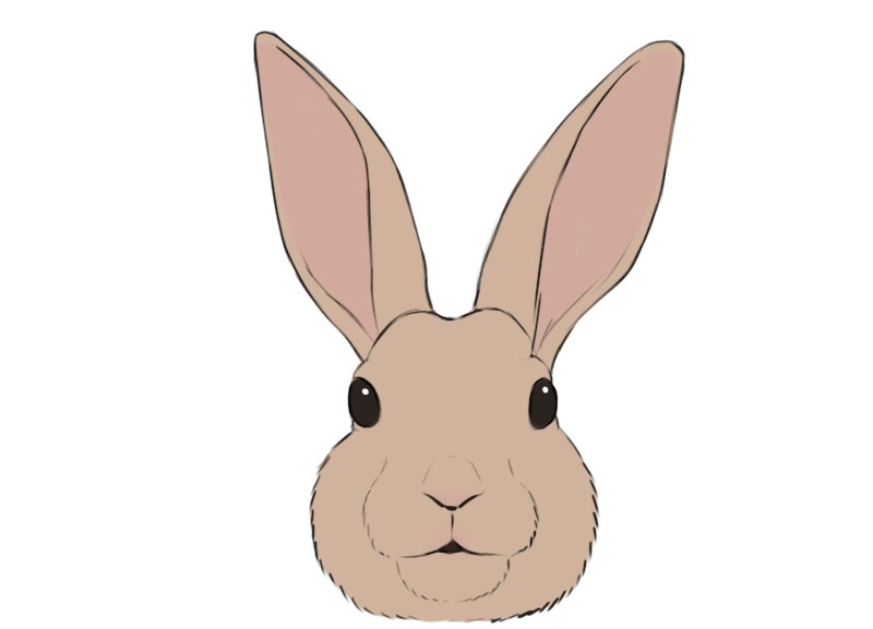 hare coloring page