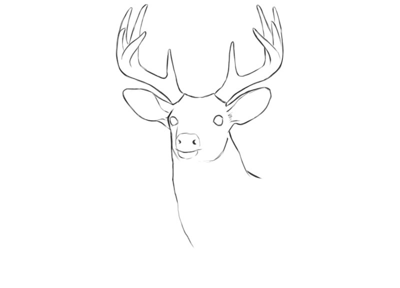 deer head coloring pages