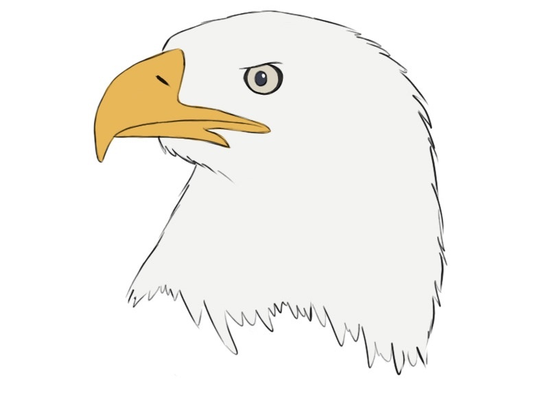 eagle head coloring page