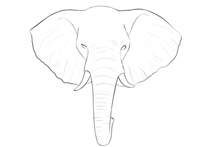 elephant head coloring pages