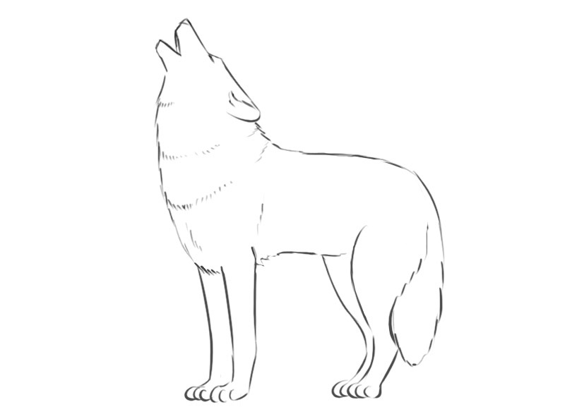 wolf coloring pages