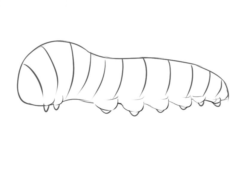 сaterpillar coloring pages