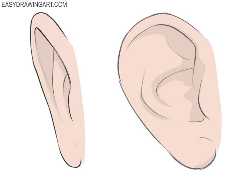 Ear Coloring Page
