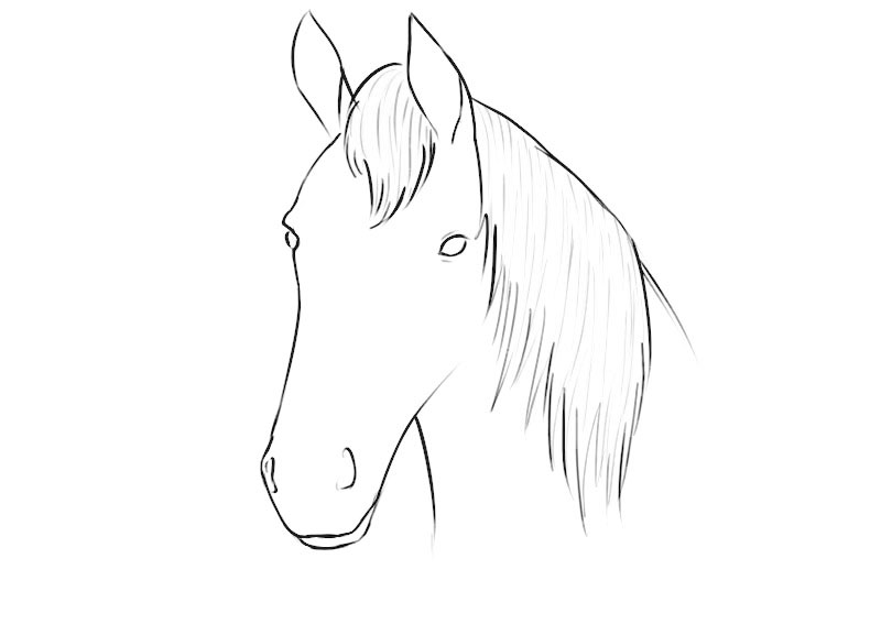 Horse Head Coloring Page - Coloringpagez.com