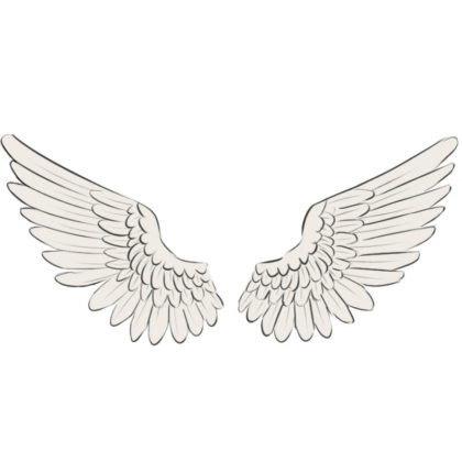 Wings Coloring Page