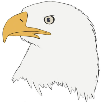 Eagle Head Coloring Page