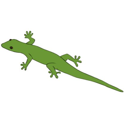 Lizard Coloring Page