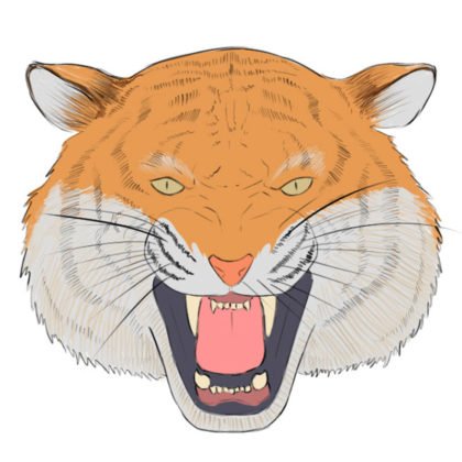 Tiger Head Сoloring Page