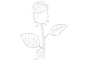 Easy Rose Coloring Page