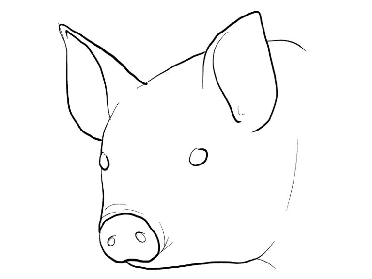 Pig Face Coloring Page