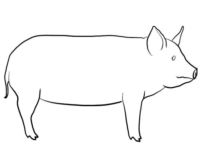 Pig Coloring Page